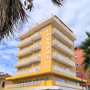 hotel-carnaby.emilia-romagnahotels.net/